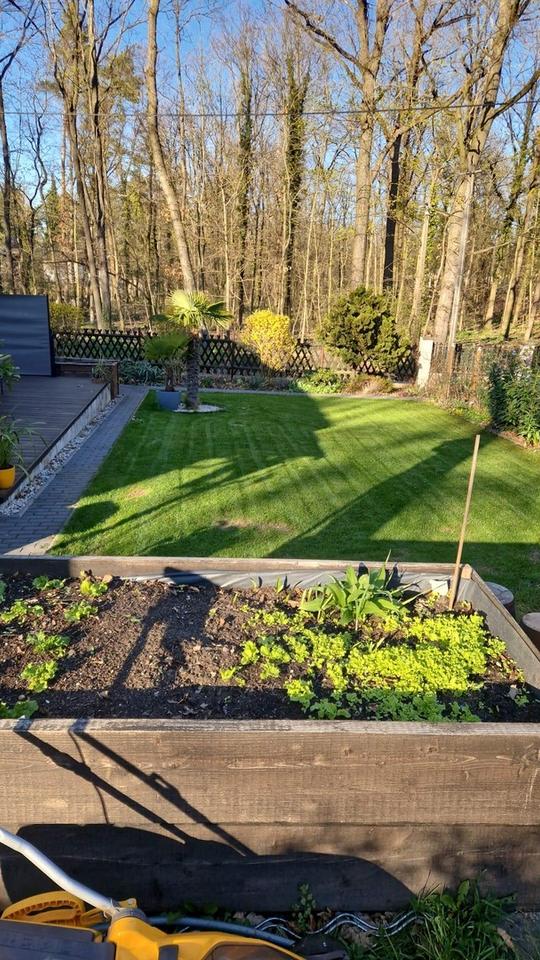 Herrlich gelegenes Einfamilienhaus im Grünen – Bild 11