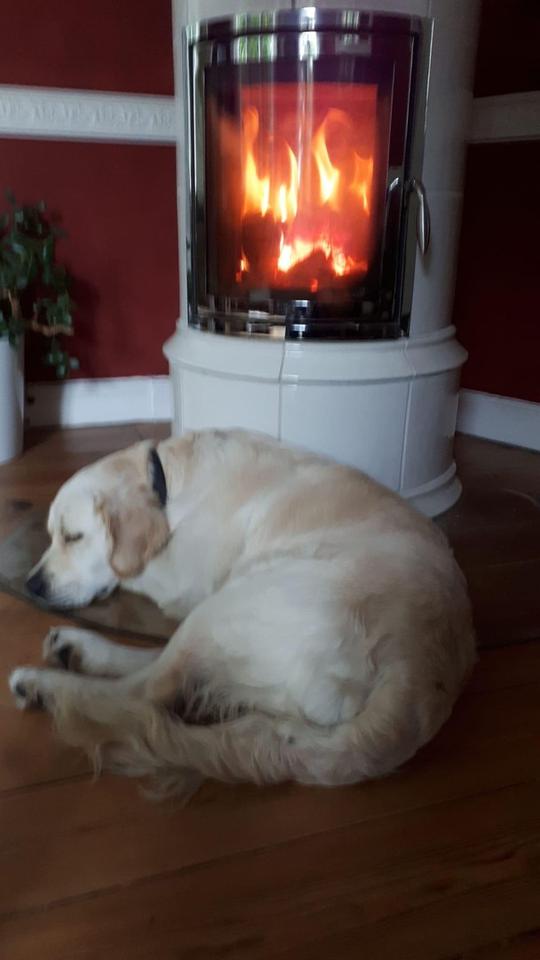 Stilvolle Jugendstilvilla mit Parkblick in Itzehoe – Bild 23