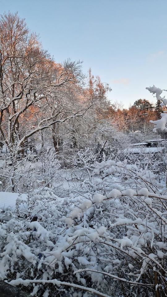 Architektenhaus in Berlin-Wilhelmshagen – Bild 11
