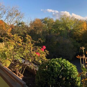 Hell, sonnig, ruhig und zentral - 2-Zimmer Wohnung im Herzen von Gröbenzell