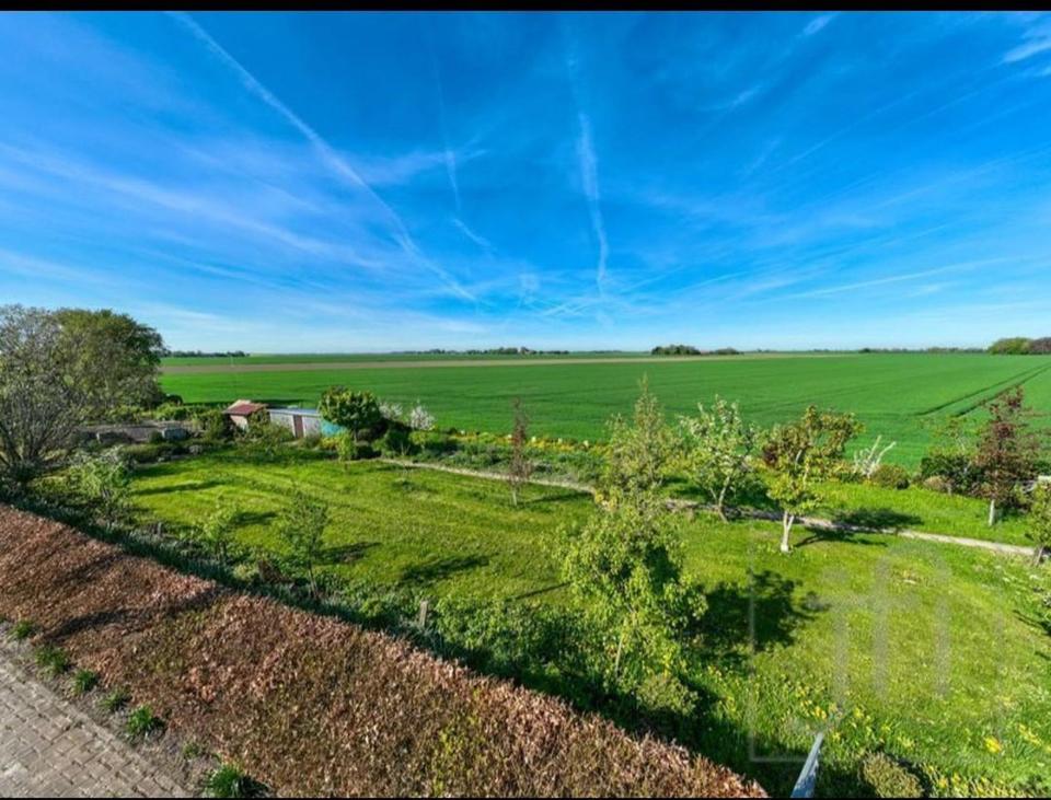 Neubau! Friesenhaus! Ferienhaus! Top isoliert! Mega Ausblick! – Bild 3