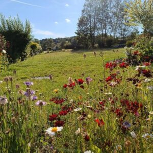 Einmalige Gelegenheit traumhaftes Baugrundstück in Bad Steben