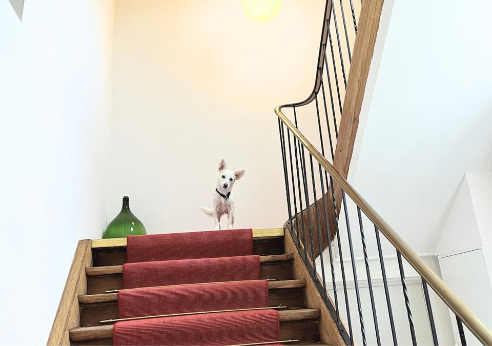 Voll ausgestattetes Apartment, sofort bezugsfertig – Bild 20