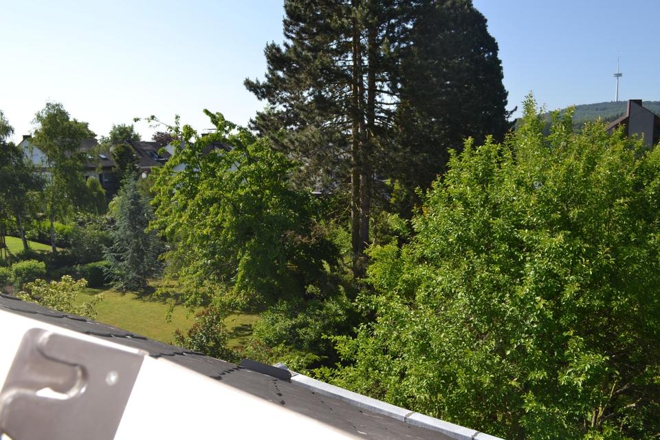 Große helle Wohnung mit großem Garten, in bevorzugter Wohnlage – Bild 30