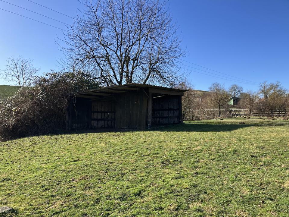 Liebevoller Hof mit Weideland nahe Kassel auf 27000qm – Bild 6