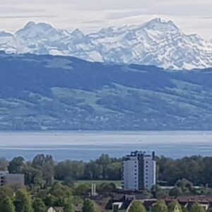 3-Zimmer Wohnung in Traumlage mit Küche und Terrasse