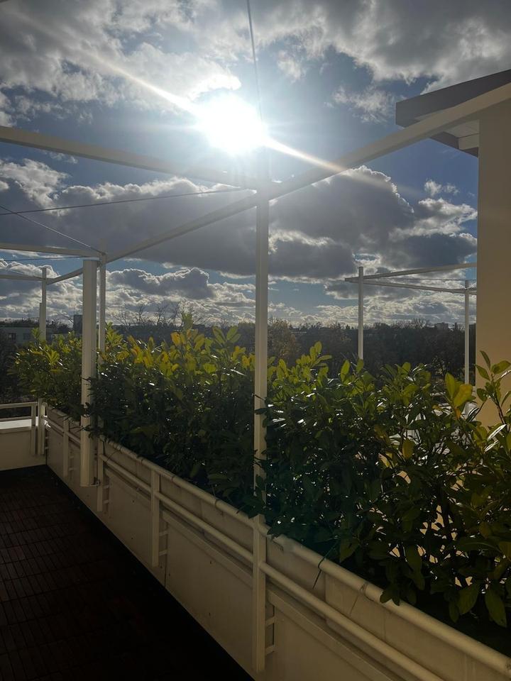 **Wohnen ganz oben:** Penthouse mit spektakulärer Dachterrasse – Bild 9