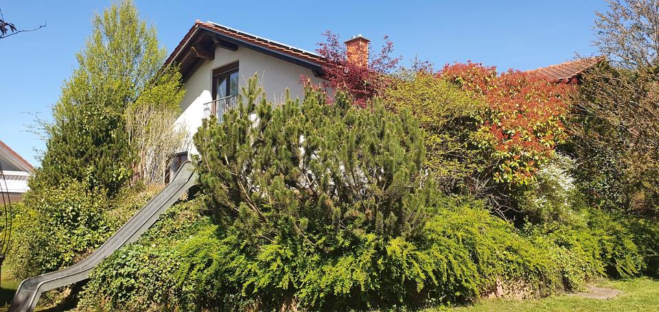 Traumhaus im Grünen - Ihr neues Zuhause voller Flair, inclusive Einbauküche und PV-Anlage – Bild 5