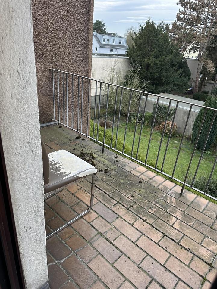 Charmante 1,5-Zimmer-Wohnung mit Balkon und Küche in Dortmund-Aplerbeck – Bild 4