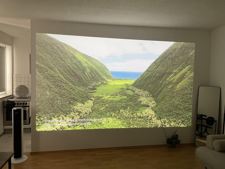 Helle, modern möblierte 2 Zimmer Wohnung / fully equiped 2 room apartment