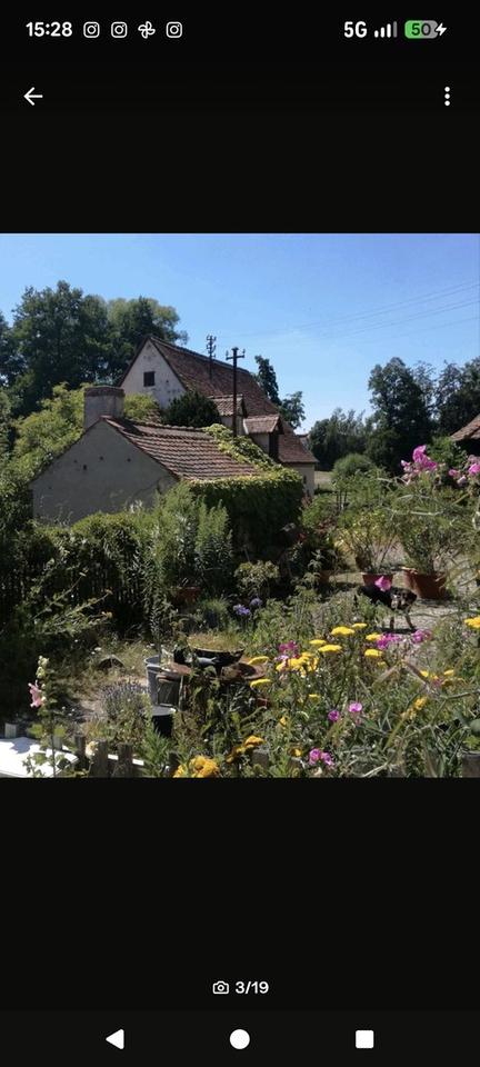 Haus - Mühle - Bauernhaus - einzigartig Wohnen in ländlicher Idylle – Bild 2