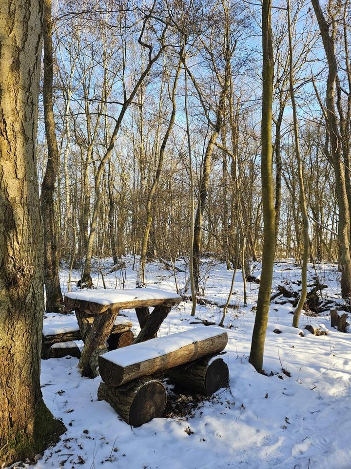 Weide, Wald und Wintergarten - Ein Traumhaus unterm Reetdach – Bild 14
