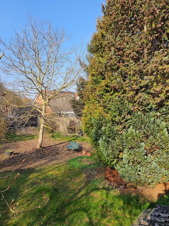 Charmantes Einfamilienhaus in Einbeck- Kreiensen- maklerfrei – Bild 3