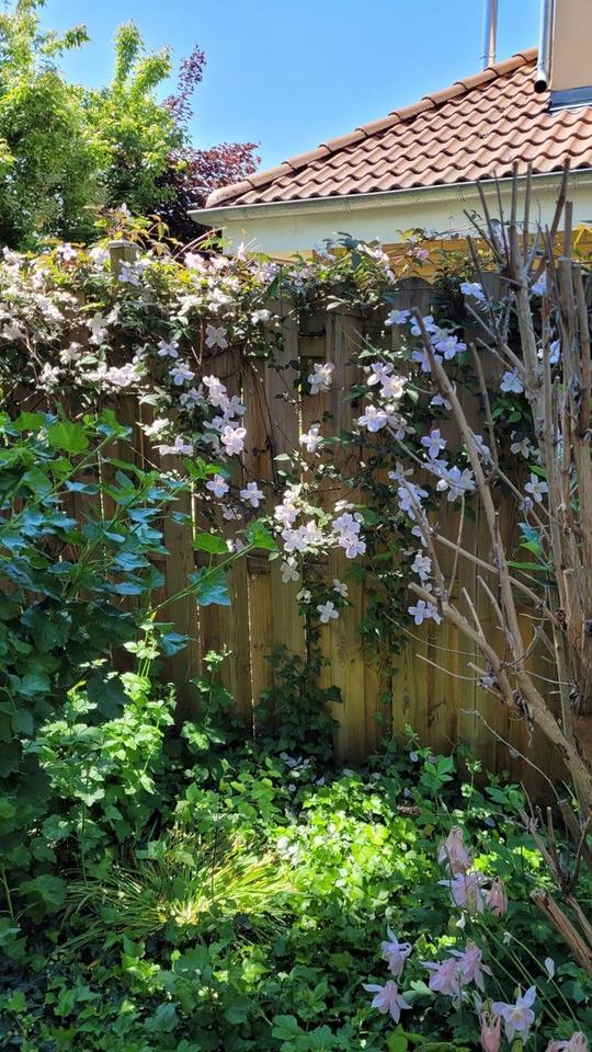 2-Zimmer Erdgeschosswohnung mit großem Wohnbereich, offener Küche und Garage – Bild 19