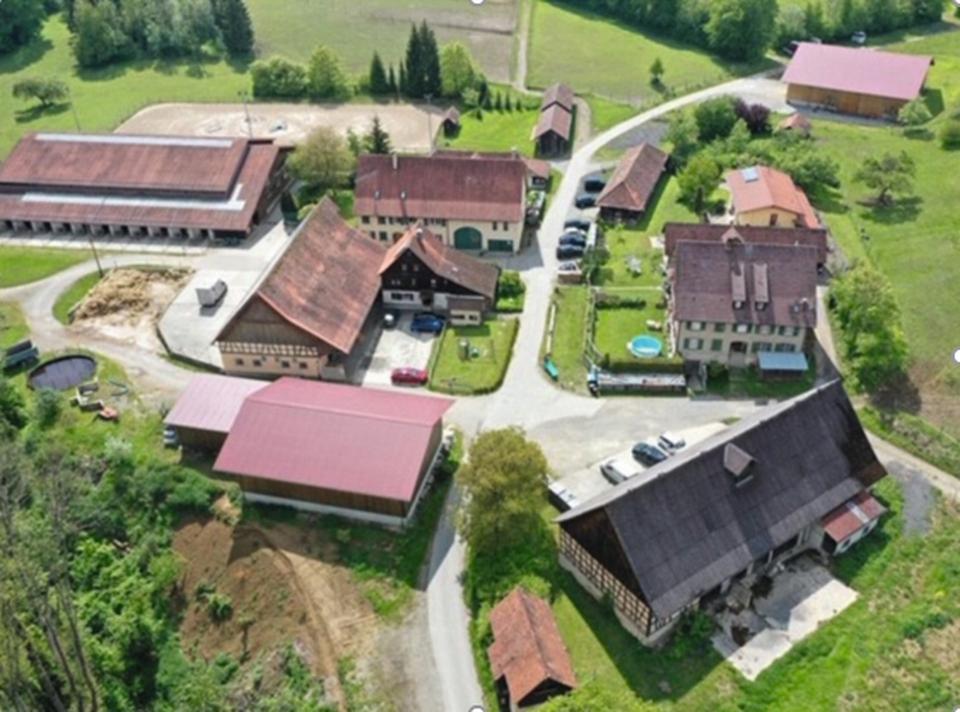 Arrondiertes Landgut mit vielseitigen Nutzungsperspektiven