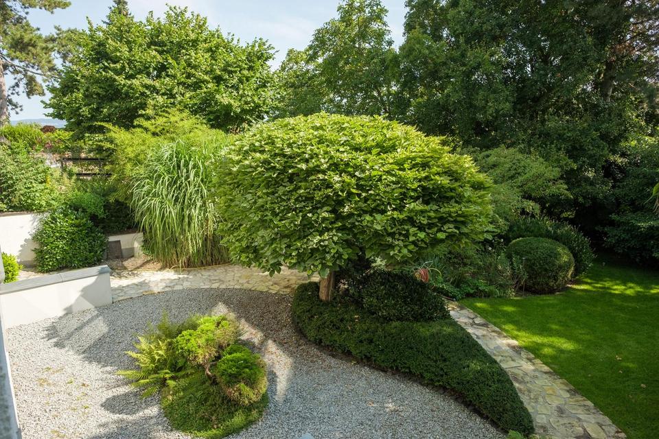 Leben und Arbeiten in schöner Lage – Bild 30