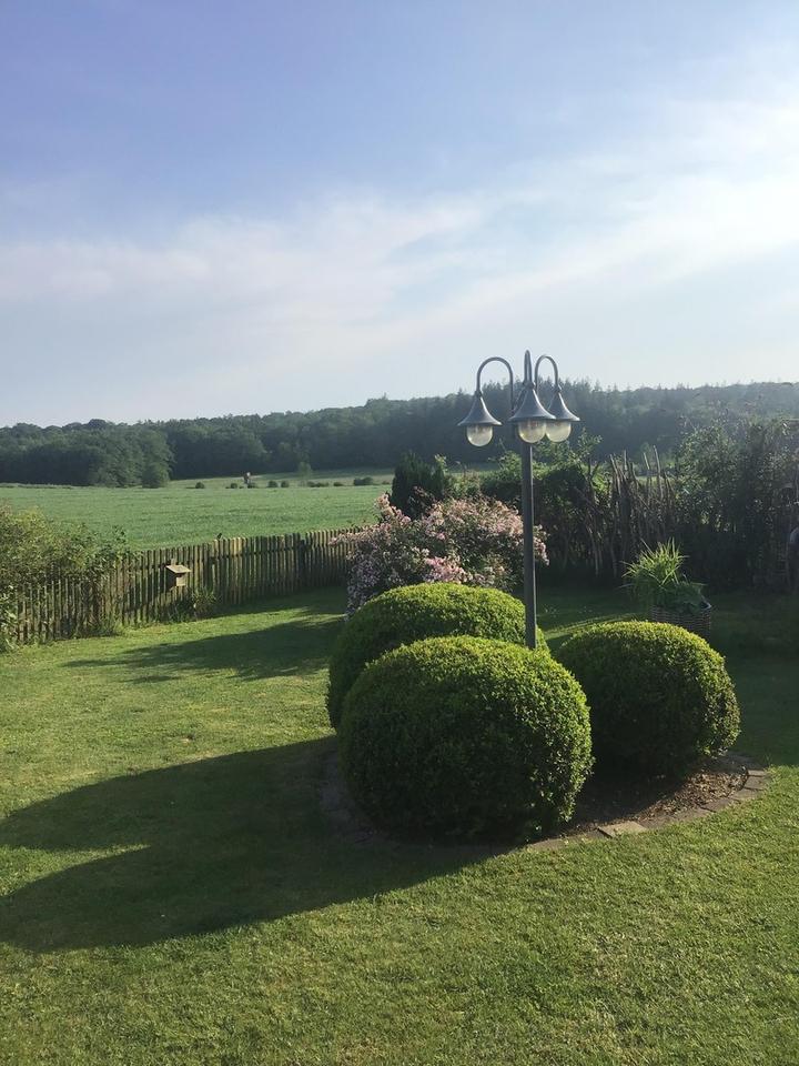 Wunderschönes Reetdachhaus am Naturpark Aukrug! – Bild 11