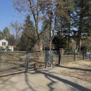 Top Lage in Lehnitz-Nord fußläufig Kita, Grundschule, See, Wald, S-Bahn - provisionsfrei