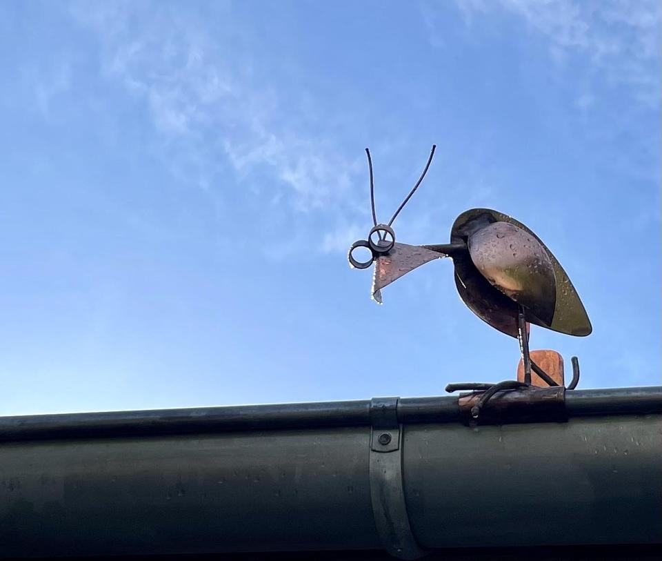 Sie wünschen sich schon immer ein Haus am See? – Bild 19