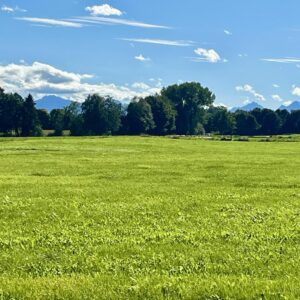 Erschlossenes Baugrundstück
