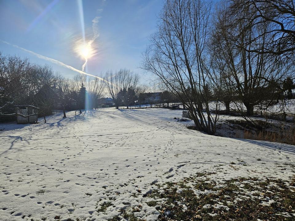 Weide, Wald und Wintergarten - Ein Traumhaus unterm Reetdach – Bild 6