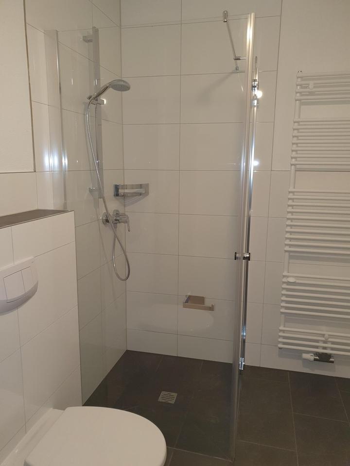 Sofort frei! Kernsanierte moderne 1-Zimmer-Loftwohnung ruhige Altstadtlage ohne Stellplatz – Bild 3