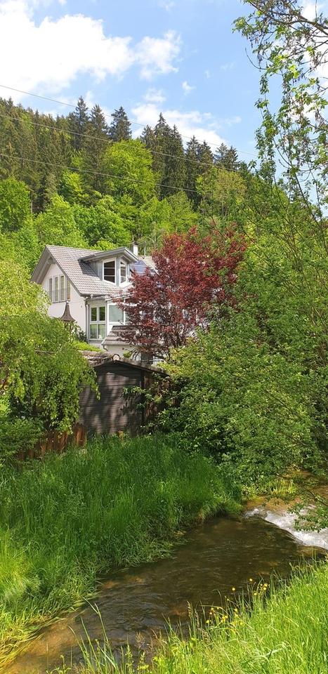 4,5-Zimmer-EG-Wohnung mit Wintergarten, Terrasse in Tuttlingen-Möhringen