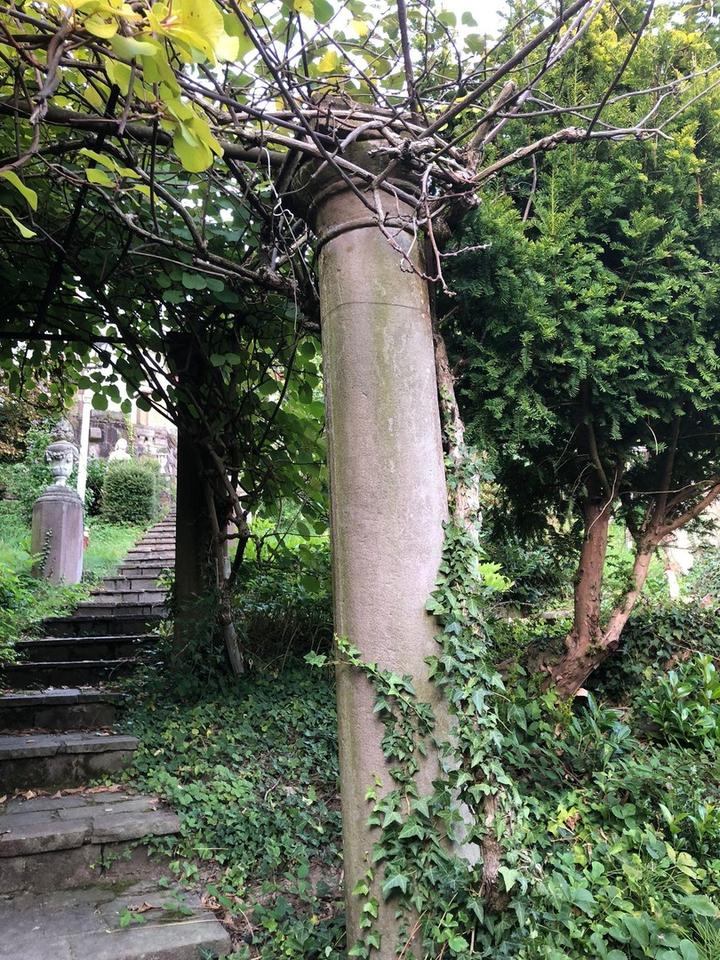 Traumaussicht in die Rheinebene - Einfamilienhaus mit Einliegerwohnung und Ausbaupotenzial – Bild 21