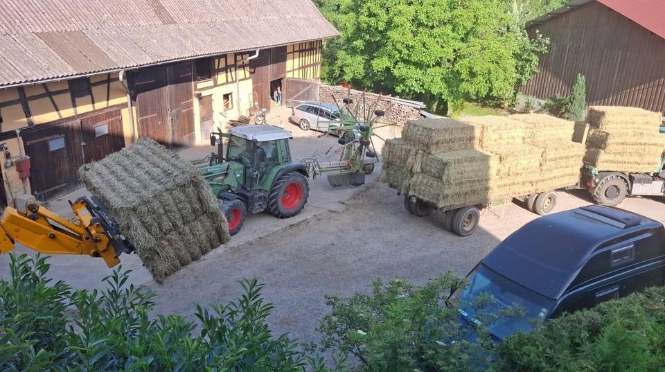 Arrondiertes Landgut mit vielseitigen Nutzungsperspektiven – Bild 20