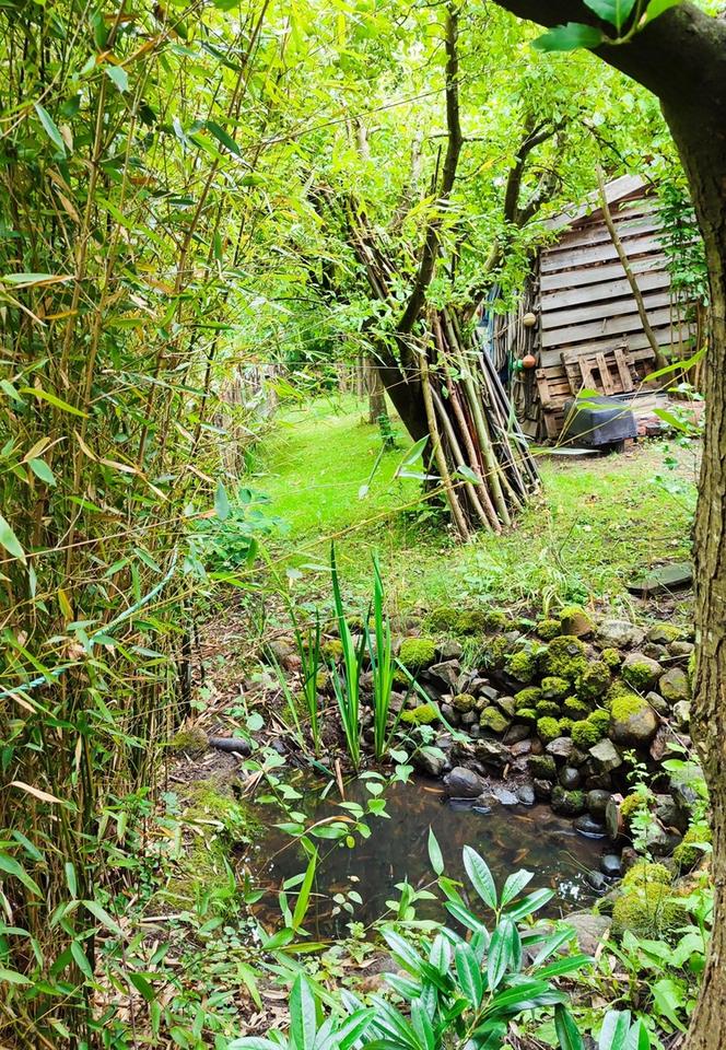 Ökologisch nachhaltiges Niedrigenergiehaus - gesund wohnen mit Lehm – Bild 27