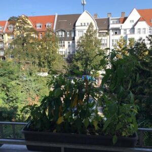 ***KAUF*** Sonnige 2-Zimmer-Wohnung in PANKOW mit Balkon #BEZUGSFREI# **KEINE MAKLER BITTE**