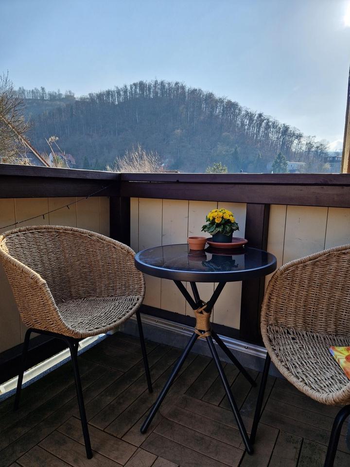 Über den Dächern Bad Harzburgs – Bild 14