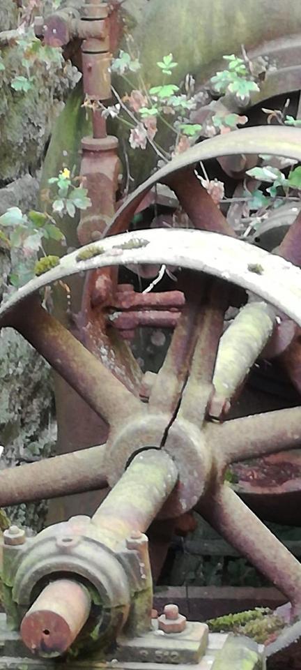 Haus - Mühle - Bauernhaus - einzigartig Wohnen in ländlicher Idylle – Bild 28