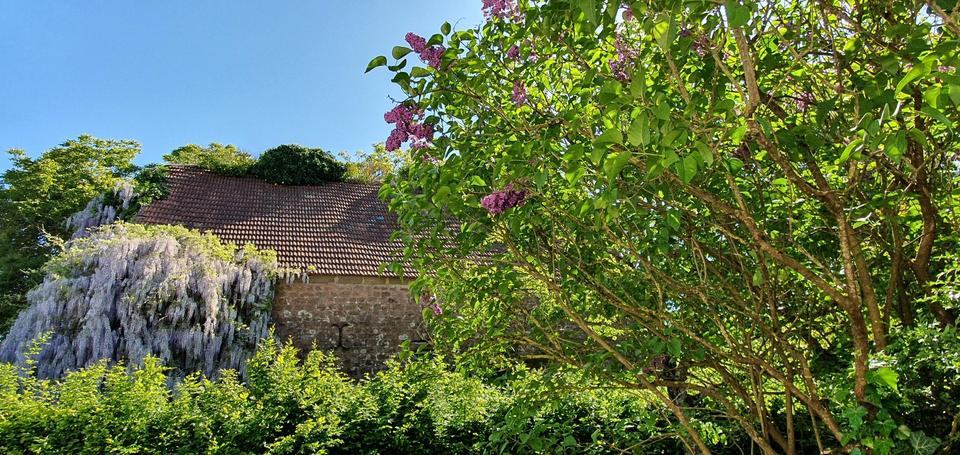 Traumhaus im Grünen - Ihr neues Zuhause voller Flair, inclusive Einbauküche und PV-Anlage – Bild 13