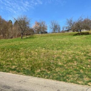 731 m² großes, attraktives und vollerschlossenes Grundstück Schönau - ohne Maklerprovision