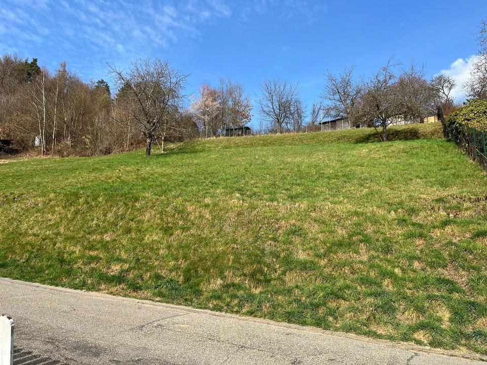 731 m² großes, attraktives und vollerschlossenes Grundstück Schönau - ohne Maklerprovision