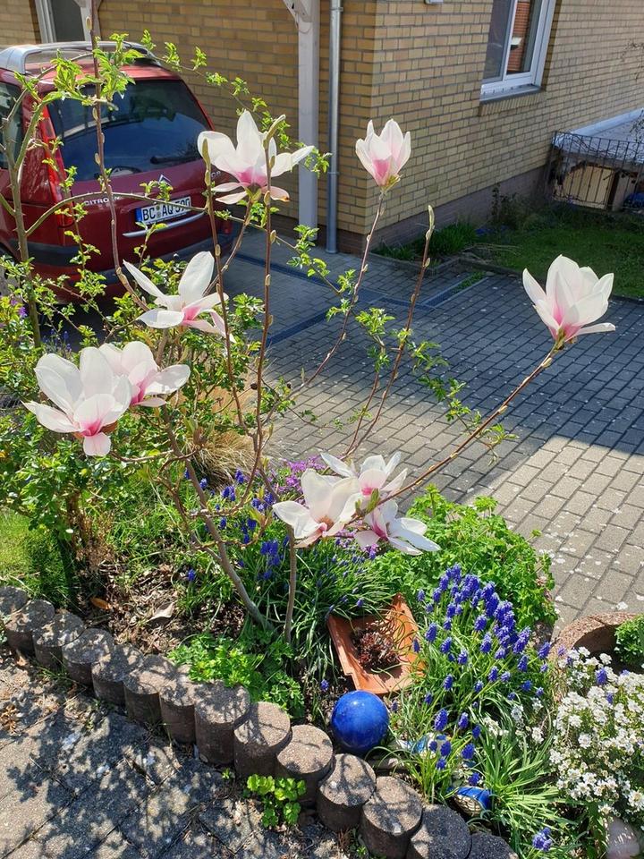 2-Zimmer Erdgeschosswohnung mit großem Wohnbereich, offener Küche und Garage – Bild 16