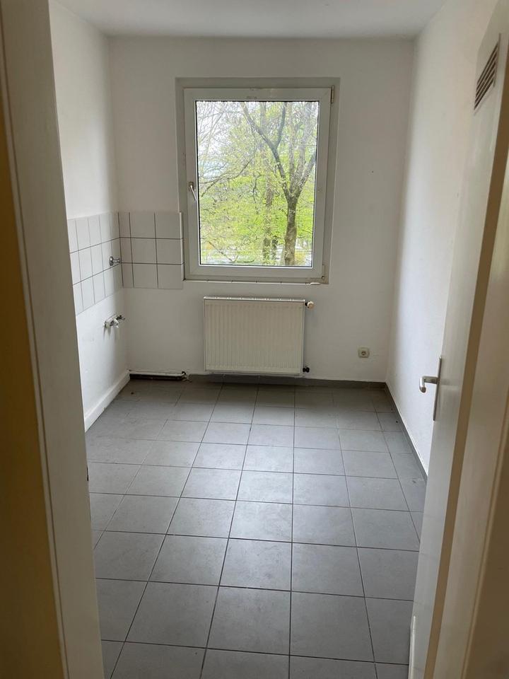 2-Zimmer-Wohnung in ruhiger Lage – Bild 2