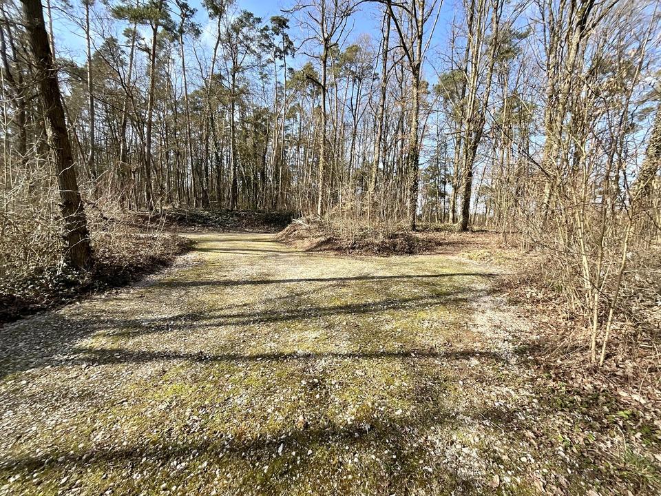 Großzügiges Ein- bis Zweifamilienhaus mt 8.197 qm Grund, PV-Anlage, Wald und Panoramablick – Bild 6