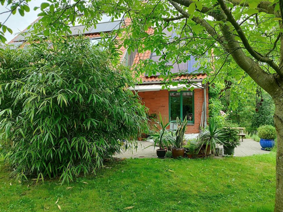 Ökologisch nachhaltiges Niedrigenergiehaus - gesund wohnen mit Lehm – Bild 24