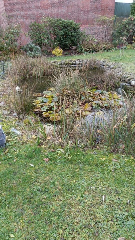 Modernes, gepflegtes Einfamilienhaus – Bild 6