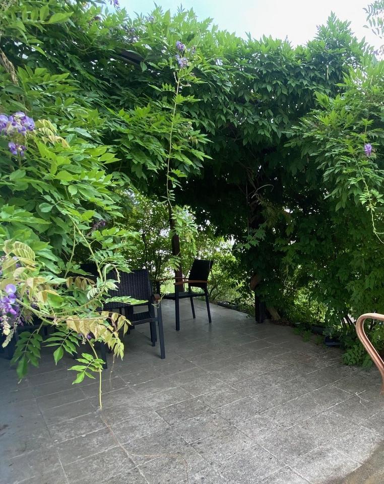 Mehrfamilienhaus in Top-Lage in Darmstadt-Eberstadt – Bild 7