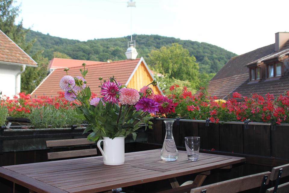 Möblierte Wohnung auf Zeit in der Altstadt von Staufen – Bild 5