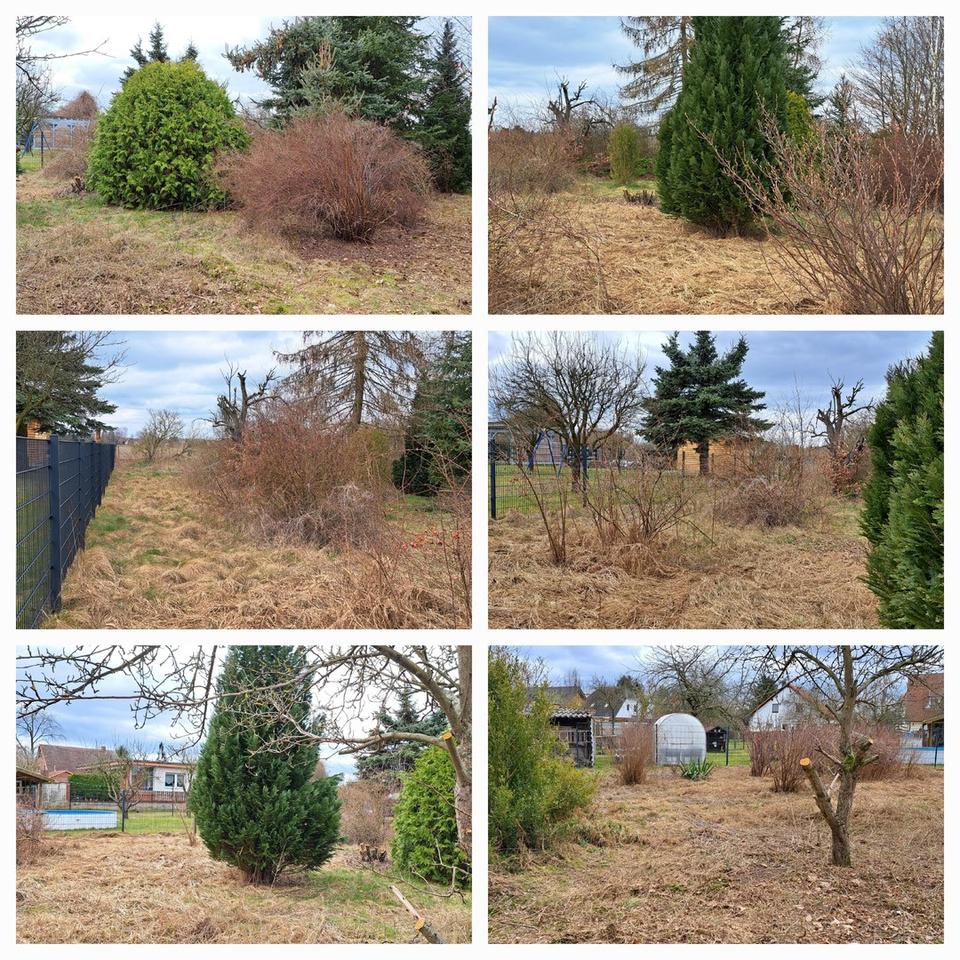 Großzügiges Arial nahe Berlin mit Entwicklungspotential - teilbar & ideal für Bauträger, Investoren – Bild 10