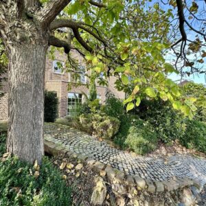 70qm Büro / Yoga / Heilpraktiker / "Fit for business": bis zu 3 Monatsmieten geschenkt! Lesen.