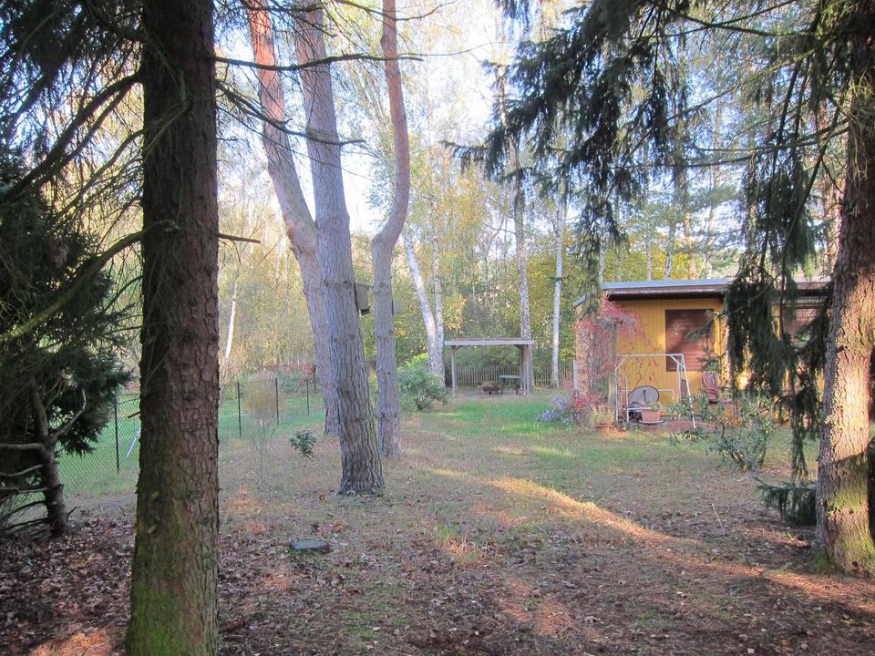 Baugrundstück – Bild 2