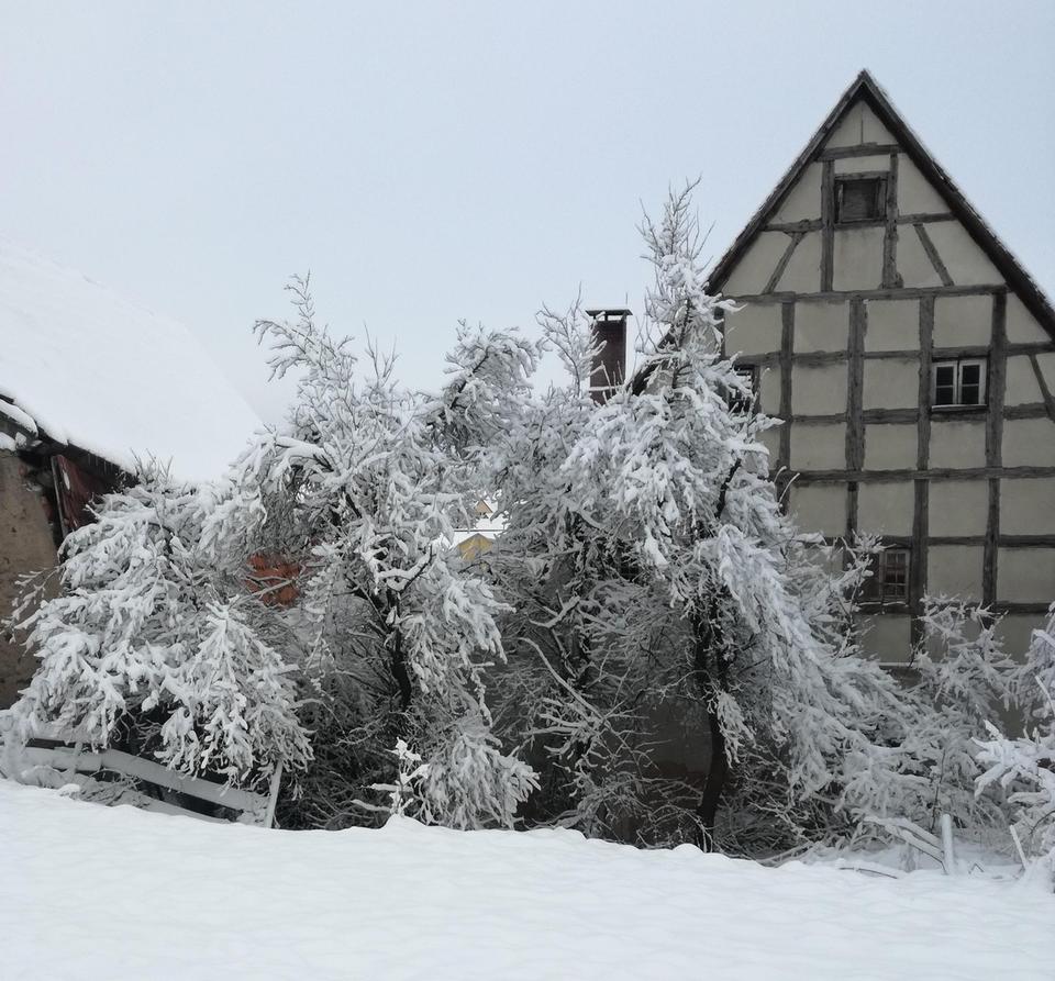 Haus - Mühle - Bauernhaus - einzigartig Wohnen in ländlicher Idylle – Bild 36