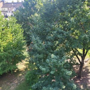 3 Zimmer Wohnung mit Badewanne, Balkon und guter Verkehrsanbindung