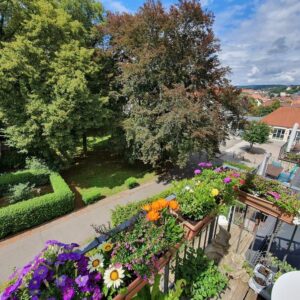 2 Zimmer Wohnung -- heute kaufen -- morgen dort wohnen -- Tübingen Südstadt -- KFW 40 Haus