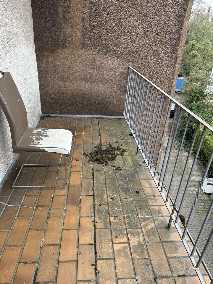 Charmante 1,5-Zimmer-Wohnung mit Balkon und Küche in Dortmund-Aplerbeck – Bild 3